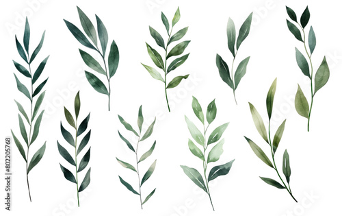 Set of watercolor green leaves elements. Collection botanical vector isolated on white background suitable for Wedding Invitation  save the date  thank you  or greeting card.