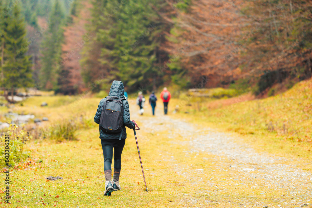 A diverse group of people, including children and adults, walk along a winding trail surrounded by lush green trees in a dense forest A diverse group of people, including children and adults, walk along a winding trail surrounded by lush green trees in a dense forest