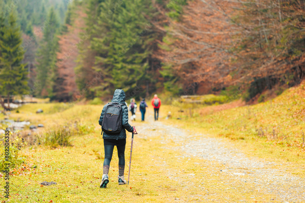 A diverse group of people are leisurely walking down a winding trail surrounded by tall trees in a lush forest setting