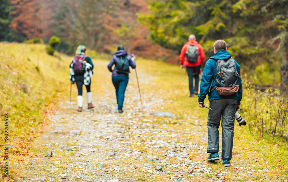 A diverse group of people walk down a winding trail surrounded by towering trees and dappled sunlight in a serene forest setting