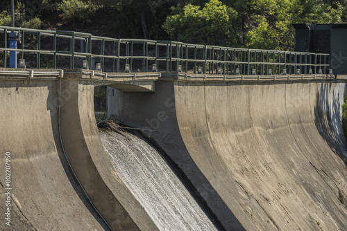 Freshwater swamps form along large rivers or lakes where they critically depend on rainwater and seasonal flooding to maintain natural water level fluctuations.