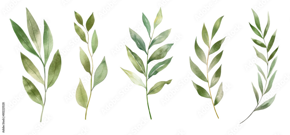 Set of watercolor green leaves elements. Collection botanical vector isolated on white background suitable for Wedding Invitation, save the date, thank you, or greeting card.