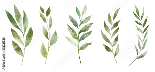 Set of watercolor green leaves elements. Collection botanical vector isolated on white background suitable for Wedding Invitation, save the date, thank you, or greeting card.