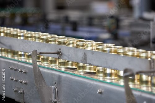 Conveyor belt used in the food industry with cans