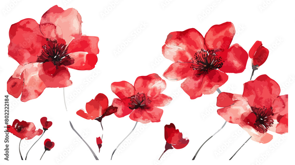 Vector Watercolor Floral Clipart Wild Red Flowers Minimalist