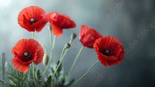 Remembrance Sunday and Memorial Day Poster with Red Poppy Flowers