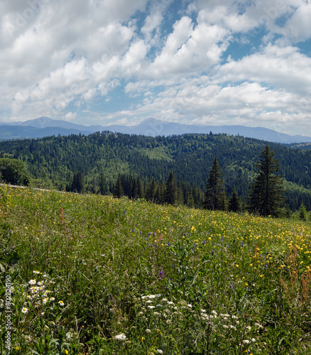Summer Chornohora massiv mountains scenery view from Sevenei hill (near Yablunytsia pass, Carpathians, Ukraine.) © wildman