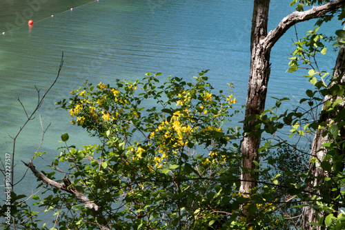 Balade nature dans le Lubéron