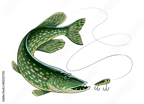 Pike Fish Catching Fishing Bait Illustration (ID: 802227703)