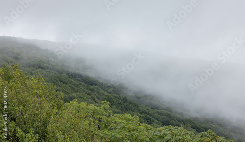 Mountains in a morning fog © Allen Penton