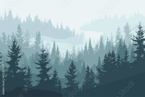 Landscape forest background with many trees, Winter forest background, Winter forest in the fog, Vector illustration