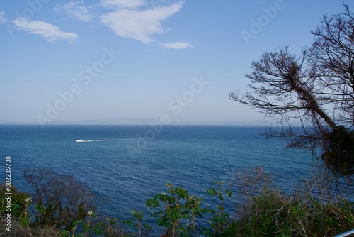 A view of Tokyo Bay from Kannonzaki Park