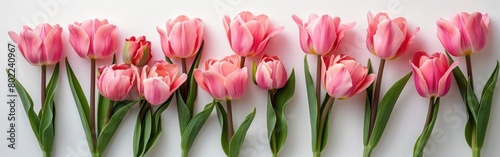 Mother's Day Flowers: Joyful Composition on White Studio Background © hisilly