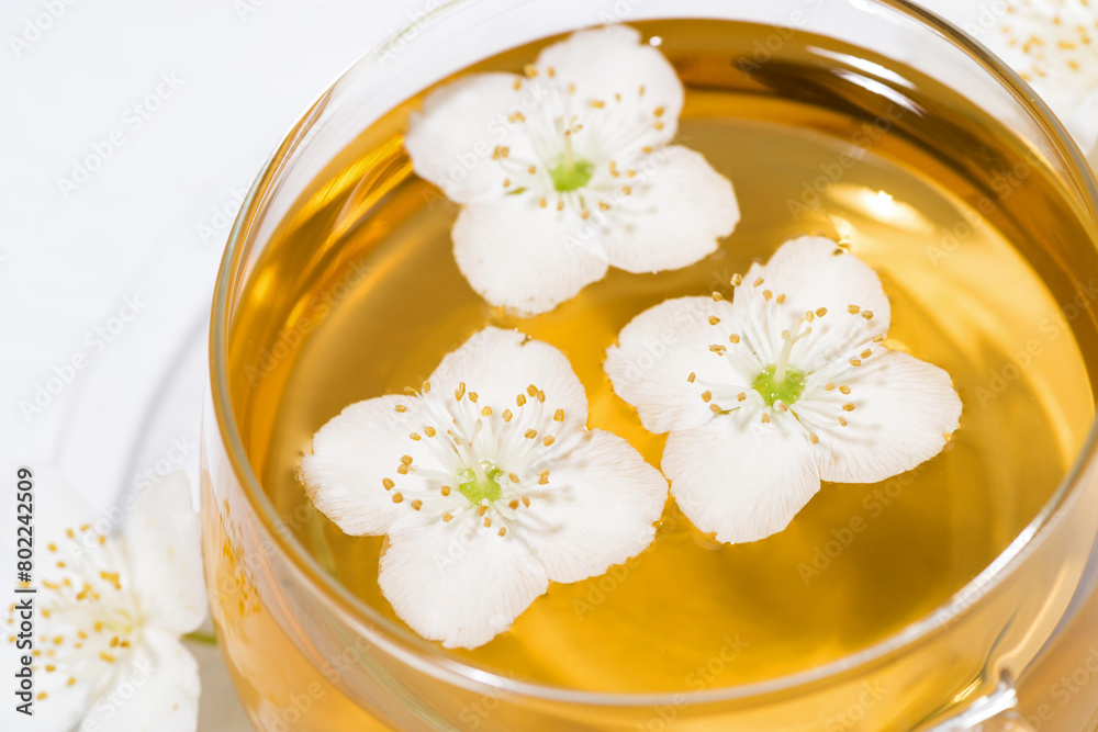 cup of fresh fragrant green tea with jasmine on white background, closeup cup of fresh fragrant green tea with jasmine on white background, closeup