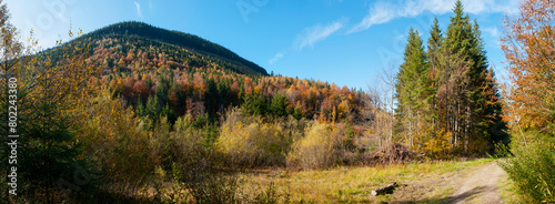 Beautiful autumn panorama of yellow and red trees against the background of big mountains