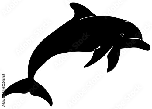 dolphin silhouette illustration isolated on white background