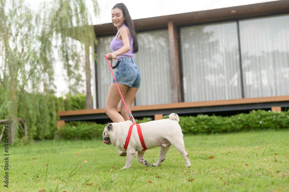 Fototapeta premium Happy asian woman playing with Cute Smart pug Puppy Dog In the Backyard