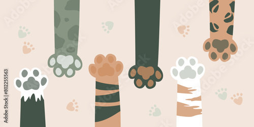 Various cat paws, print leg foot. Help adopt animal pet, donate concept. Close up paws, friends forever. Get new friend, horizontal banner. Adopt - do not shop.