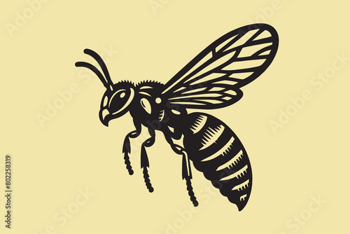 Wasp. Vintage black engraving illustration, logo, emblem, isolated object.