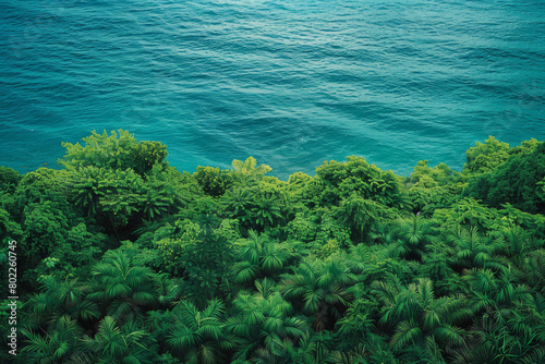 A lush green forest with a blue ocean in the background