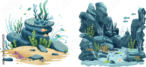 Marine aquarium bottom with seaweed algae stone fish ocean fauna panorama seafloor under water