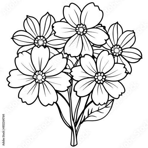 Cosmos Flower Bouquet outline illustration coloring book page design, Cosmos Flower Bouquet black and white line art drawing coloring book pages for children and adults
