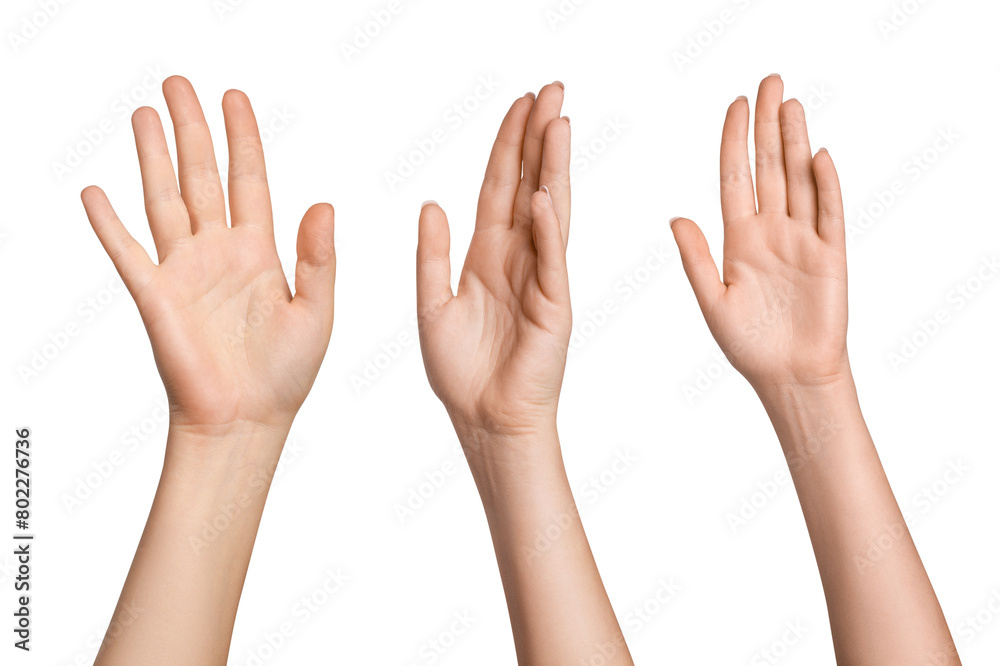 Set of female hands in different poses on a blank background Set of female hands in different poses on a blank background