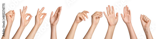 Set of female hands in different poses on a blank background