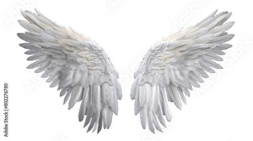 a pair of white wings