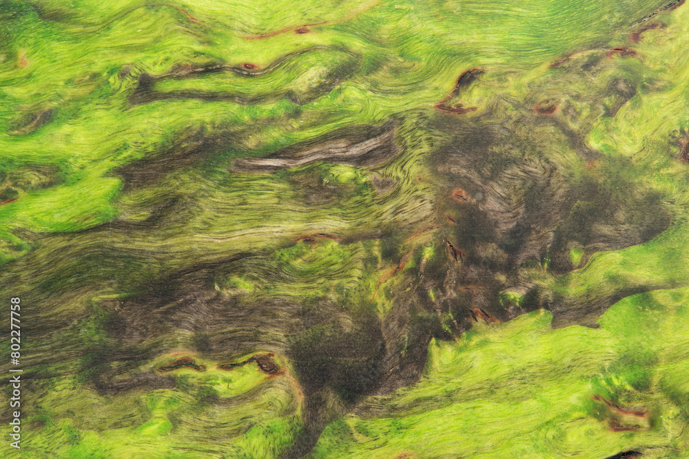 beautiful green background with a wood texture beautiful green background with a wood texture