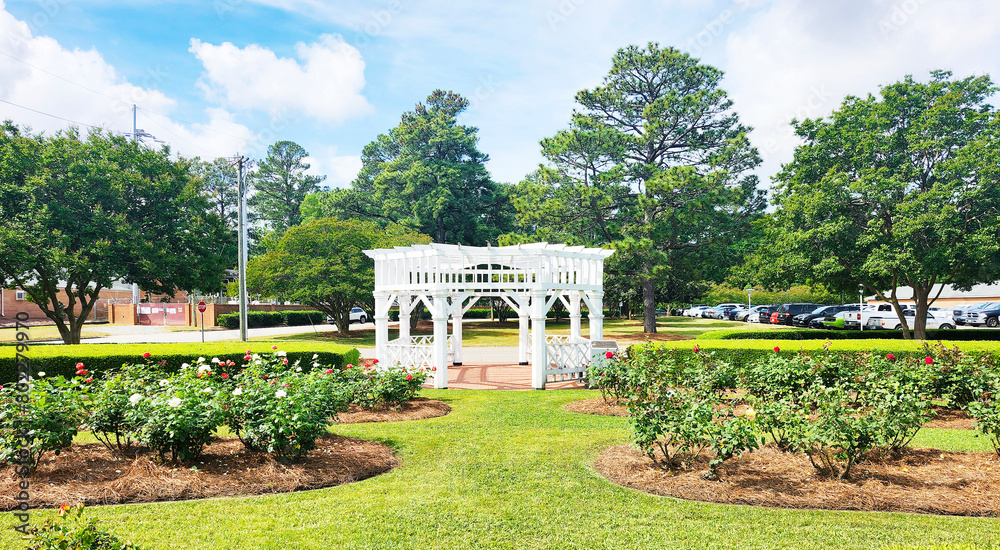 Obraz premium Fayetteville Rose Garden, North Carolina, USA