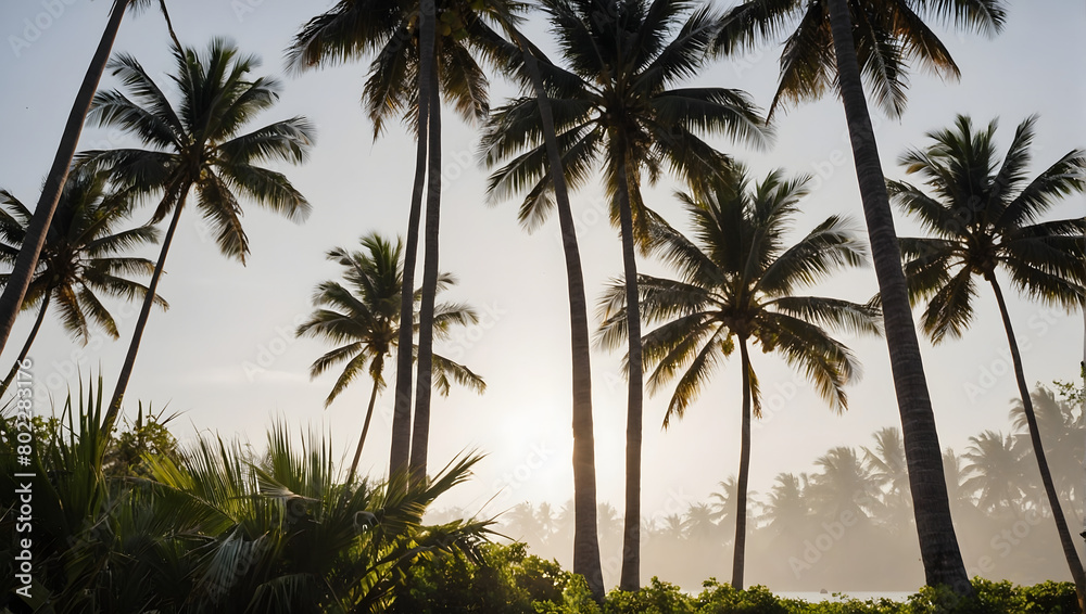 a serene scene with coconut trees silhouetted against a pristine white background.