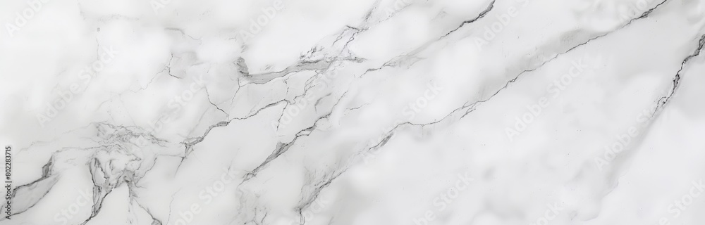 High-Quality White Marble Texture with Detailed Veins. High-Quality White Marble Texture with Detailed Veins.