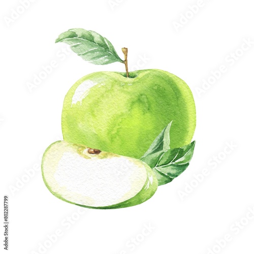 Green apples composition watercolour illustration  (ID: 802287799)