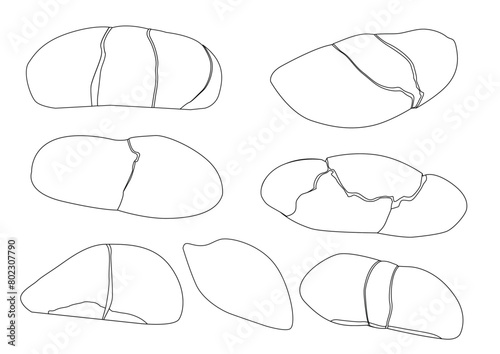 Line durian fruit black white colour and ripe durian piece on white background illustration vector. 
