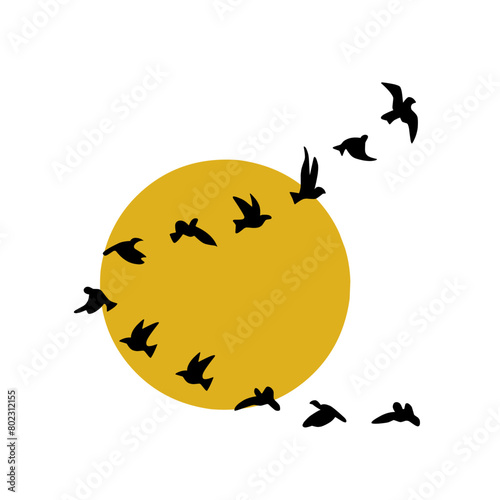 silhouette of a birds flying