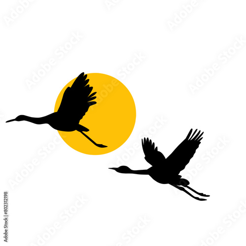 silhouette of a birds flying