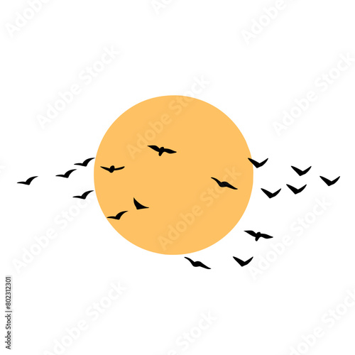 silhouette of a birds flying