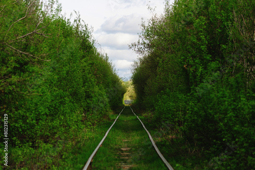 Railway at forest woods. Real photo