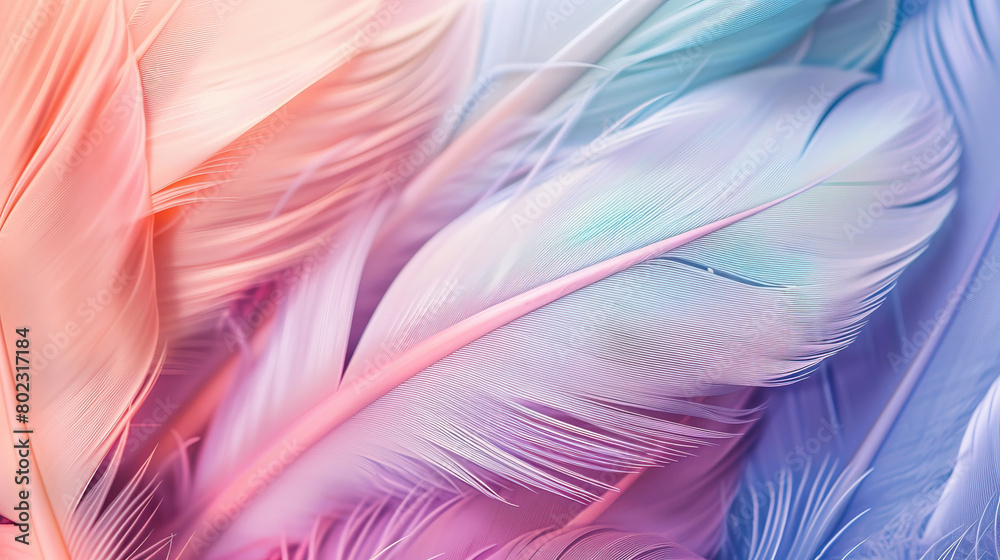 Abstract Background of Feathers in Pastel Color Abstract Background of Feathers in Pastel Color