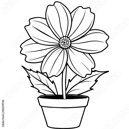 Cosmos flower plant outline illustration coloring book page design, Cosmos flower plant black and white line art drawing coloring book pages for children and adults