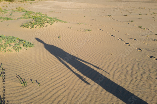 Fototapeta Naklejka Na Ścianę i Meble -  Sombra de hombre sobre la arena de la playa