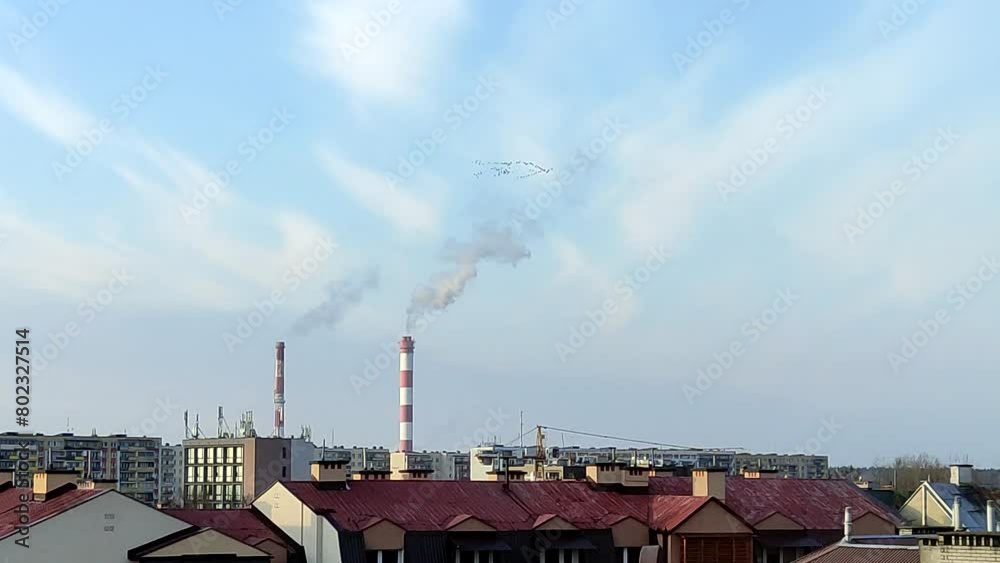 Flock of birds flies against the background of pipes of a thermal power plant Flock of birds flies against the background of pipes of a thermal power plant