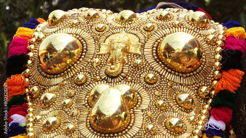 Closeup of golden caparison, the decoration of the elephants participating in the temple festival procession in Kerala, India photo
