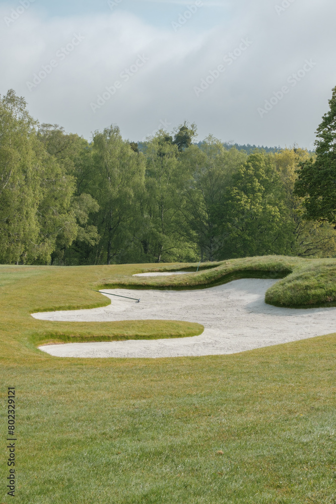 Morning walk over Cowdray golf coarse, Midhurst, West Sussex, England, UK. Morning walk over Cowdray golf coarse, Midhurst, West Sussex, England, UK.