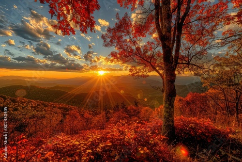 Autumn sunset at the Smoky Mountain national Park photo