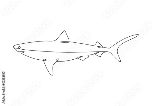Shark fish continuous single line drawing vector illustration. Premium vector