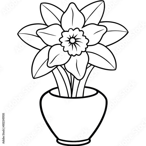 Daffodil flower on the vase outline illustration coloring book page design, Daffodil flower on the vase black and white line art drawing coloring book pages for children and adults