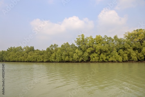 Sundarbans National Park in Bangladesh.this photo was taken from Sundarbans National Park,Bangladesh.