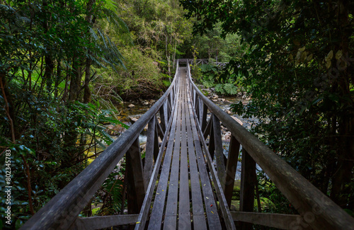 Bridge in hike